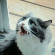 moose - steam id 76561197961760572