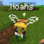 NoahsBee