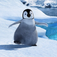 murz - steam id 76561199660986685