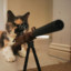 sniper cat