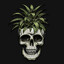 PineappleSkull
