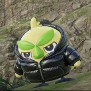 Vidmon skins.army