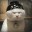 [E]Goob