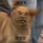 Chen666