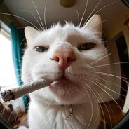 наташа емослат