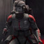 BOT echo
