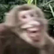 牢牢记住，逝者为大