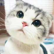 我玩个游戏容易么