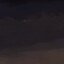 STEE7