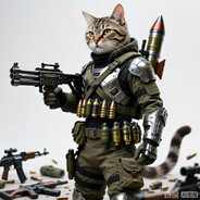 军火猫