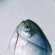 两天不打积积阳阳德