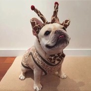 容嬷嬷当年也是一枝花