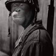 RitalinMonkey