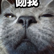 我是你的仙女哇