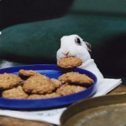 a-cakes