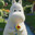 Pukawka Muminka