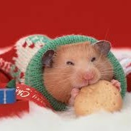 Hamster's Rage - steam id 76561197971057566