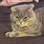 68sq. m4ksifam's avatar