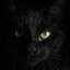 Mr. Zeytin