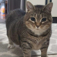 почините регу - steam id 76561199571876136