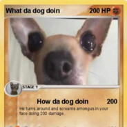 Player Avatar