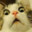 Driftcat