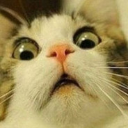 Driftcat