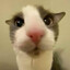 kind and stable individual's avatar