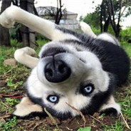 唱跳Rap嘻嘻哈哈