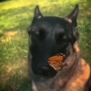 Рюмочная Пролив