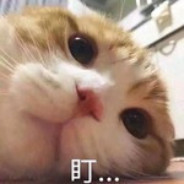 官匹没人比我更懂挨打