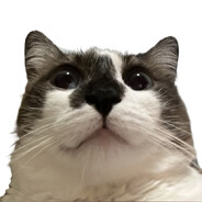 Jeff's avatar