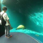 ravilat