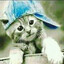 Tima
