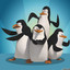 NEEDLESS PENGUIN