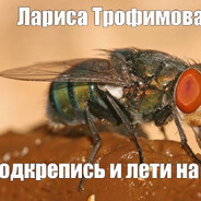 Лариса Трофимова