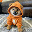 Nex$DOG