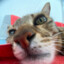 Lozovtsov's avatar