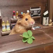 海以南腿毛王子