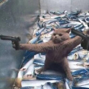 +V看我用电弧星扎你牛子