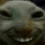 yoinks
