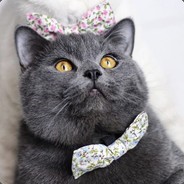 Luo