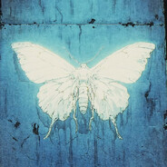 Satosh1 avatar