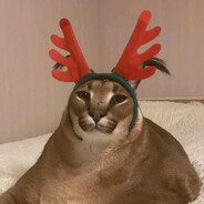 zo - steam id 76561199097772058