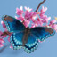 Toxic_Butterfly