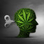 ♛ ★ ⌜mariJuana⌝ ★ ♛