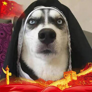 被遗落的枫叶丶