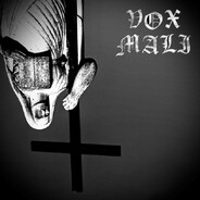 Vox Mali @ Spotify