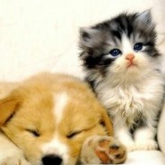 刘老六不是老六