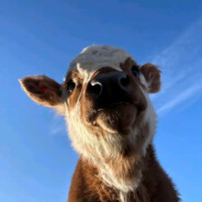 早晨起来喝稀饭